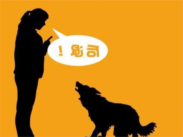 狗狗要攻击你时，别慌！你可以用这4个办法进行自救