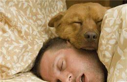 “狗狗跟人睡觉”有这些坏处，你需要知道