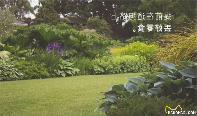 狗狗不做“低头族”，如何让狗狗不要乱捡东西吃？