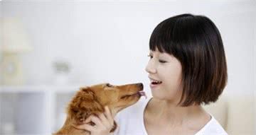 怎样知道狗狗是健康的，如何判断狗狗健康