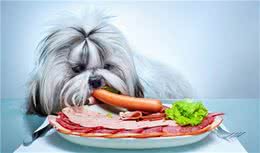 狗的听觉为什么异常灵敏？