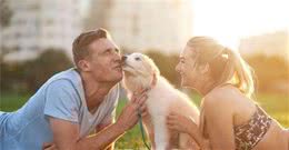 狗狗经常“鼻吻”你，你知道在它眼里意味着什么吗？