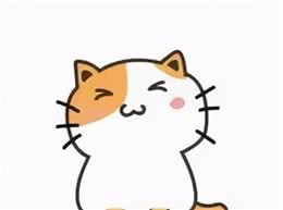 哪些蔬菜和水果是猫狗能安全食用的？