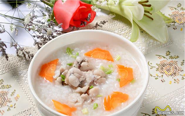 家有爱犬：狗子感冒了怎么办？有效处理感冒的三大措施