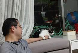 老公曾喊不准养猫　现在炫耀被舔还催老婆帮拿遥控器