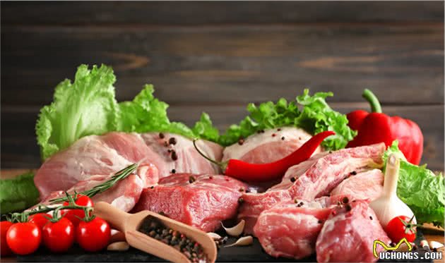 如何为狗狗挑选健康的零食？教你5个办法