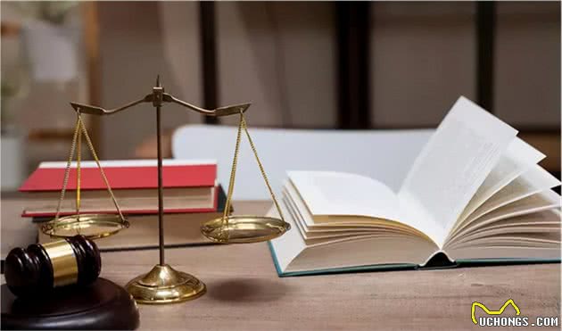 民法典新规，养狗人士须勤勉尽责，否则一不小心就会赔、赔、赔