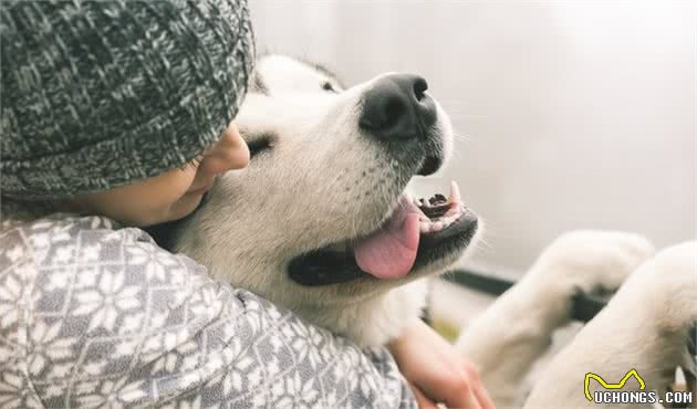 狗狗的心灵比我们想象中的要细腻，这5种复杂情感它们也能感受到