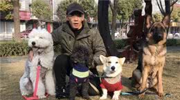 靖江有个训犬师，15min让狗乖乖听话