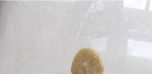 比熊犬呕吐黄水和白沫，怎么办？