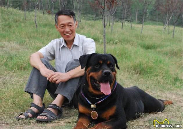 罗威纳为什么大受欢迎？因为它有这些优点，才成功圈粉