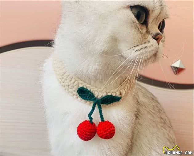 猫猫狗狗可可爱爱，带你闲逛宠物时装周