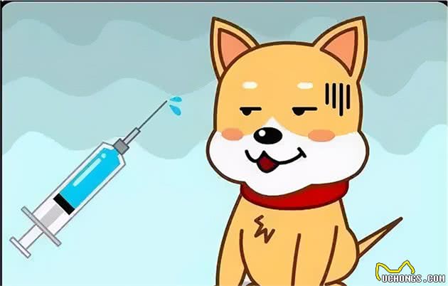 玉山一学生在上学途中被狗追咬受伤，民警组织全城搜捕