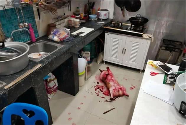 网友回家发现狗子被杀了…正准备哭时，它突然站起来了