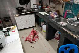 网友回家发现狗子被杀了…正准备哭时，它突然站起来了