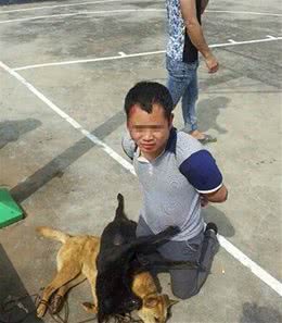 偷狗贼太猖狂，却总能成功脱身，教铲屎官几招鉴别这些坏人