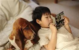 狗狗“关心”主人，才会有这些表现