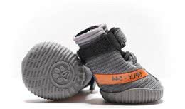 人要潮，狗也要潮狗狗专属Yeezy（椰子）鞋面世