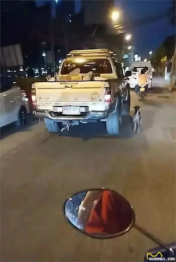 被遗弃狗狗浑身被烟头烫伤，还好她出现了
