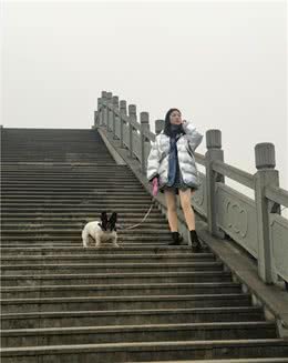 怎样训练宠物狗良好的大小便习惯
