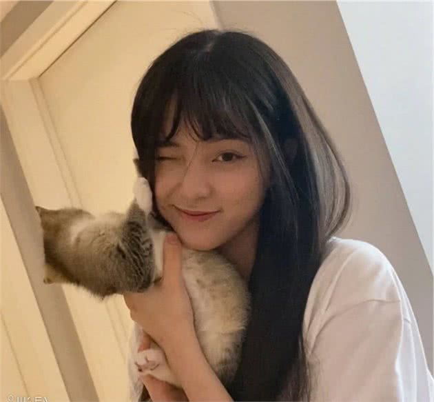 猫咪能有什么坏心眼呢？只不过是抢我的钱罢了
