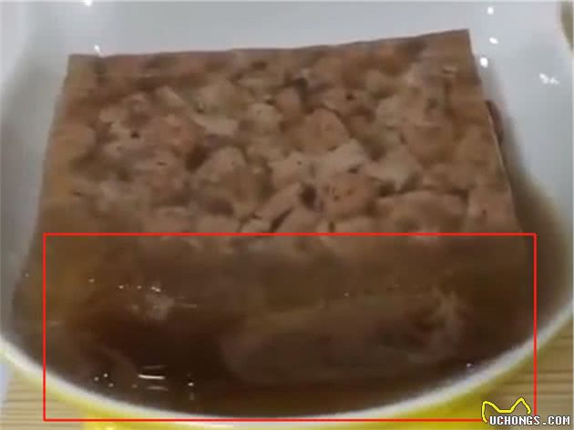 猫狗罐头，特别是德罐里面透明的东西到底是胶还是肉冻啊