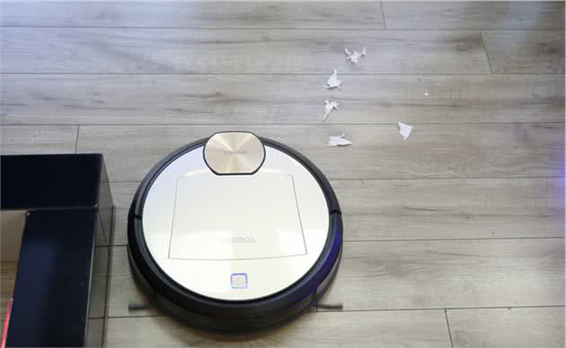 怎么清除家里的猫毛狗毛？分享我的经验