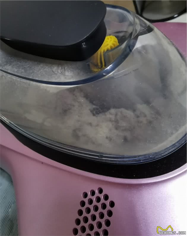 怎么清除家里的猫毛狗毛？分享我的经验