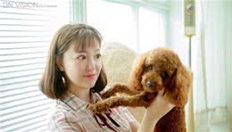 养狗的6样“专业法宝”，你最不可缺少哪一样？