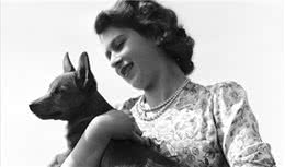 英国女王向她心爱的，多吉瓦肯告别，女王纯种的道吉犬只剩一条
