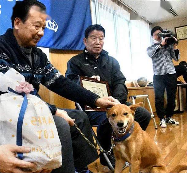 狗狗不小心帮忙破案了，警局奖励一包狗粮，上台领奖时太滑稽了