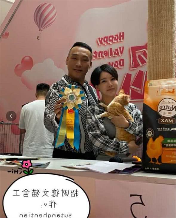 德文卷毛猫名列世界名猫大赛排行榜