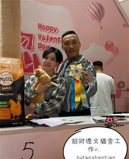 德文卷毛猫名列世界名猫大赛排行榜