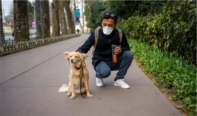 狗狗能闻到的10种东西，但是人类闻不到