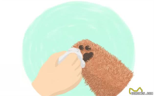 狗狗皮肤知识小课堂