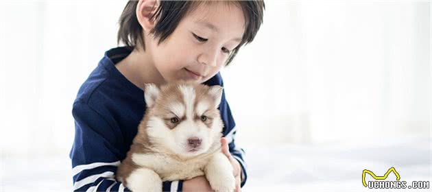 宠物、小孩，王不见王？父母该知宠物与孩子安全共处一室的3件事