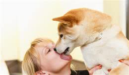 狗这5种行为，竟然是爱主人的表现？太甜了