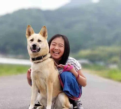 养狗别乱养，推荐新手养这几种，极少生病
