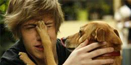 扎心了！狗狗对你做这5件事，说明没把你真正当主人