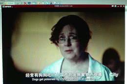国产狗粮垃圾？月销数万的狗粮一定安全吗？怎么选合适的狗粮？