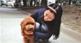 教育泰迪犬，建议避开这5个地方，真的打不得