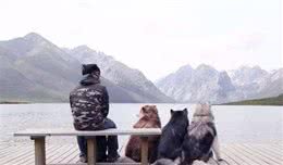 猫狗出行很担忧？记住4点不用愁—带毛孩子去旅行干货分享