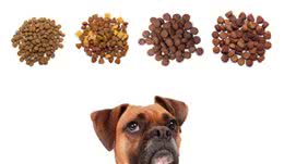 狗粮到底该怎么选？