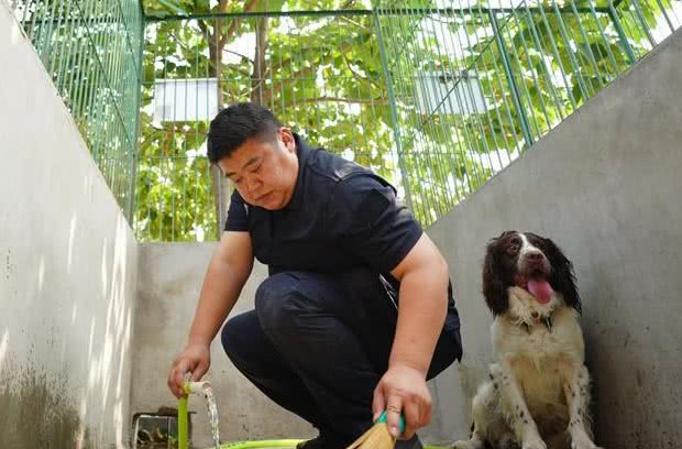 资深铲屎官都不一定知道的，“狗味”去除法
