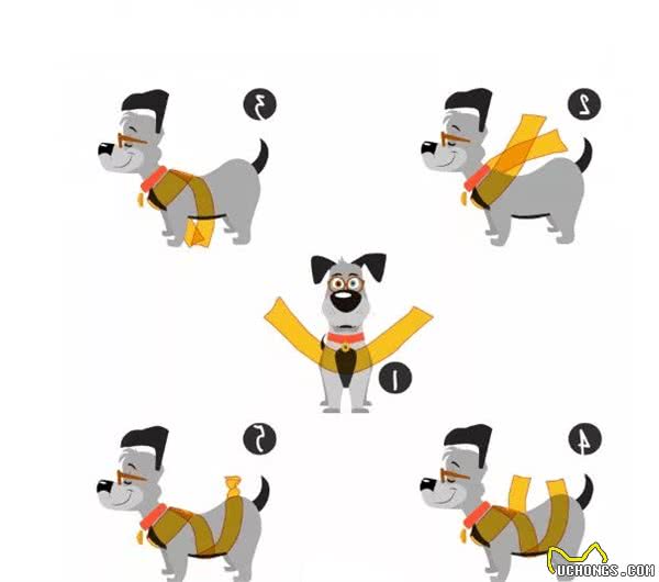 国外流行的狗狗TTouch，不就是给它按摩，究竟有什么作用？