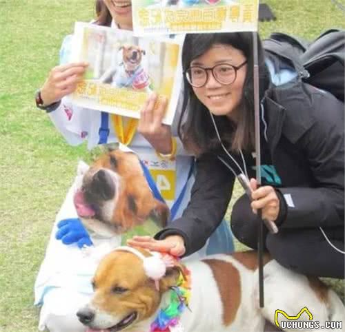 大学运动会百米跑获得第三名？来盘点下那些跑圈里厉害的狗狗们