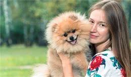 博美犬这么优秀，怪不得那么多人喊着要养