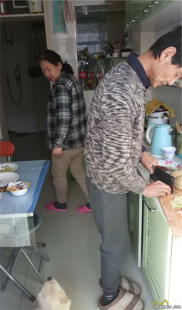 老爷爷和老奶奶每天给小土狗做三顿饭，自制营养狗粮给汪星人吃