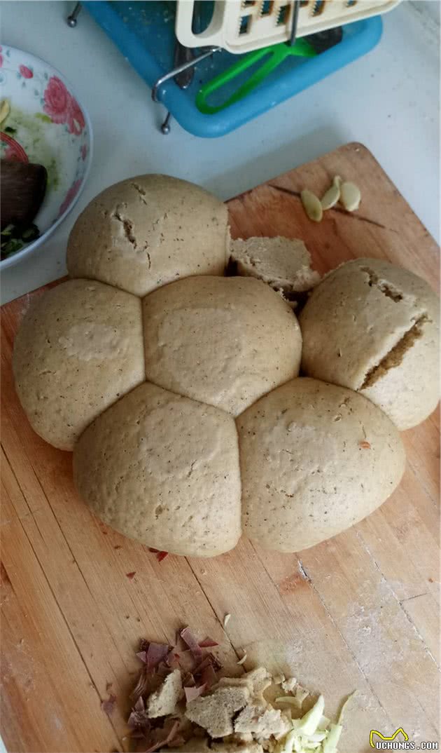 老爷爷和老奶奶每天给小土狗做三顿饭，自制营养狗粮给汪星人吃