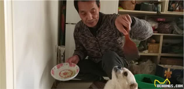 老爷爷和老奶奶每天给小土狗做三顿饭，自制营养狗粮给汪星人吃